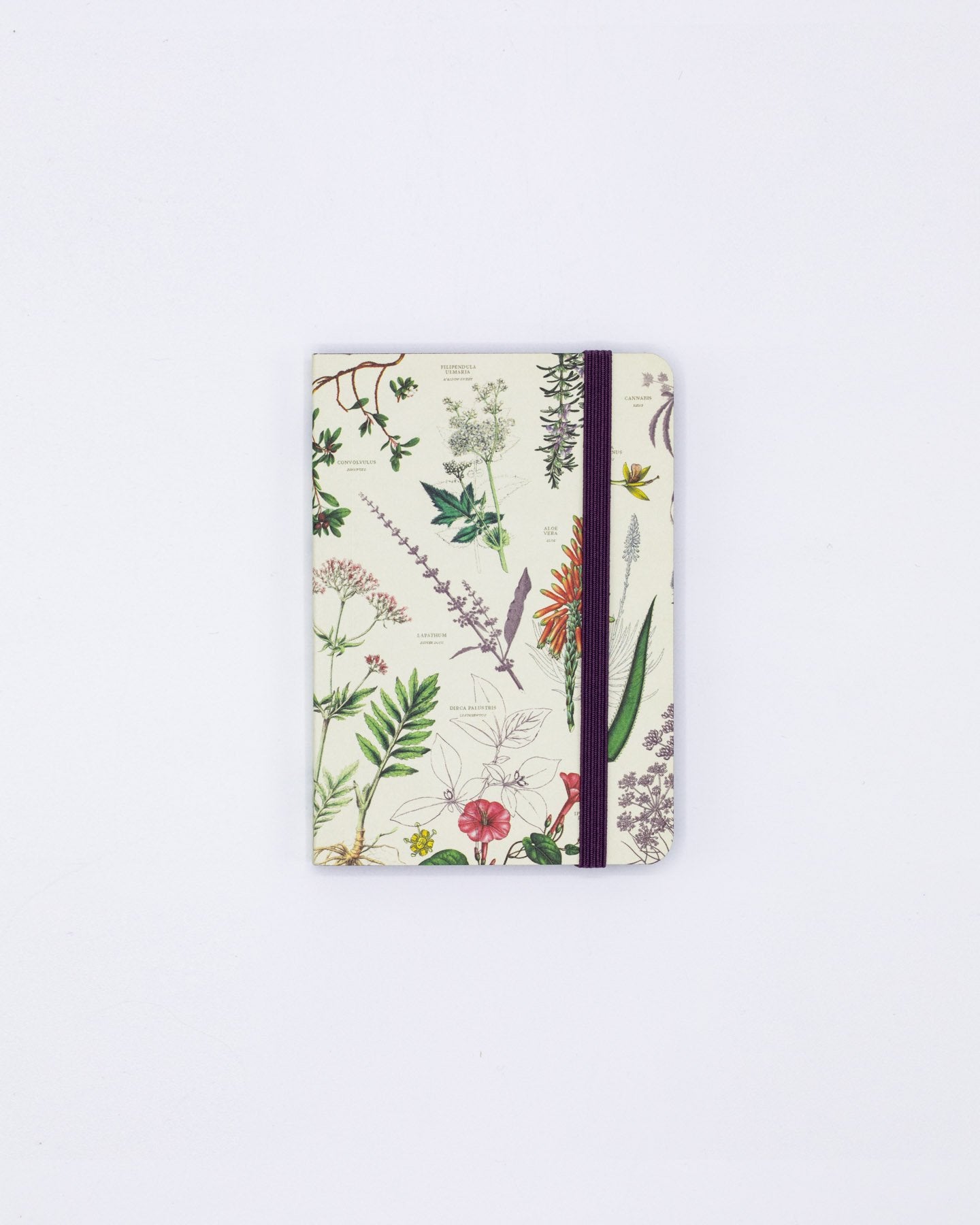 Medicinal Botany Observation Mini Softcover Notebook