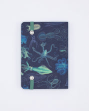Sea Monsters: Octopus & Squid Observation Mini Softcover Notebook