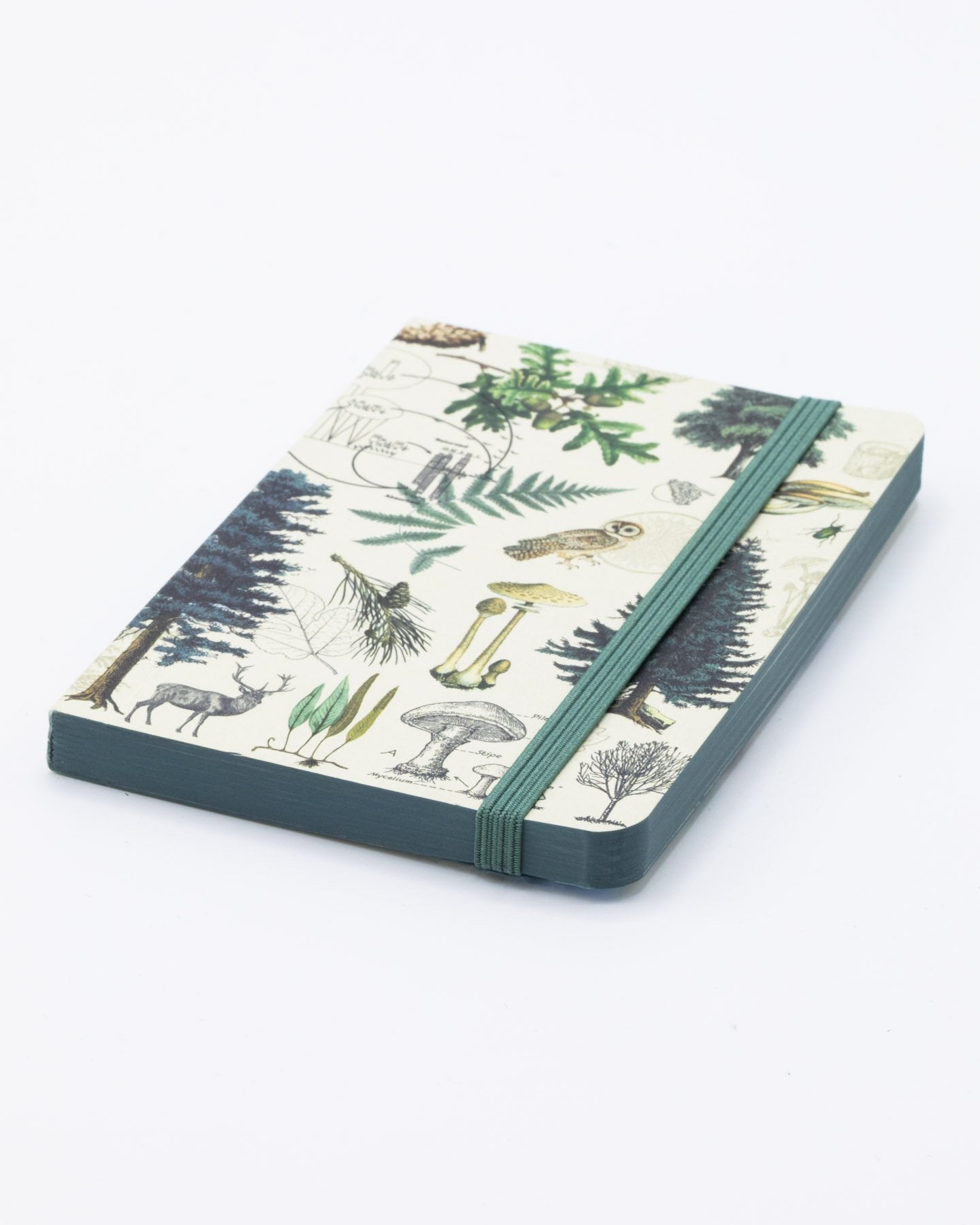 Into the Forest Observation Mini Softcover Notebook