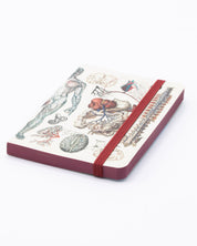 Anatomy & Physiology Observation Mini Softcover Notebook