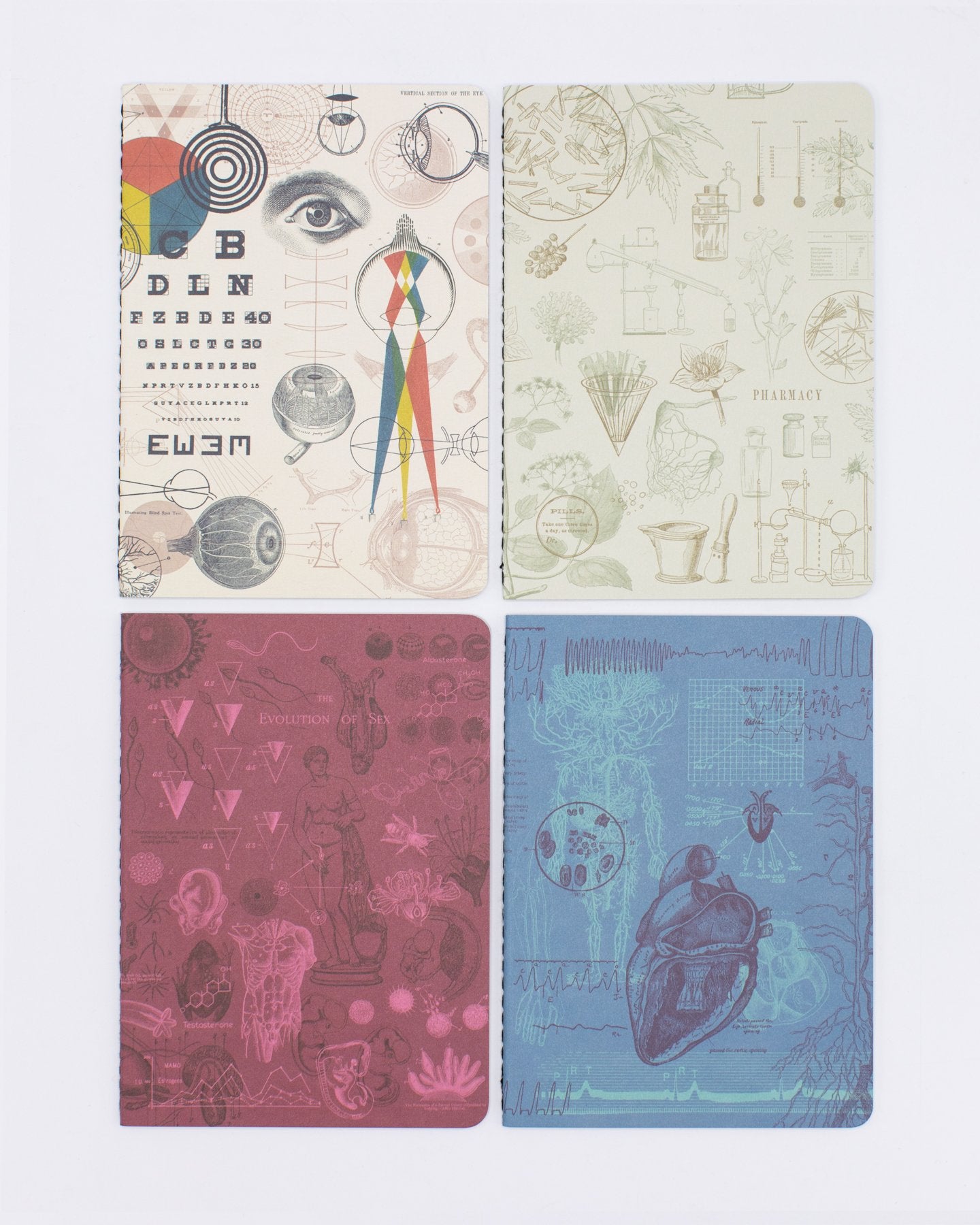 Medicine Pocket Notebook 4-pack