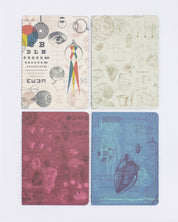 Medicine Pocket Notebook 4-pack