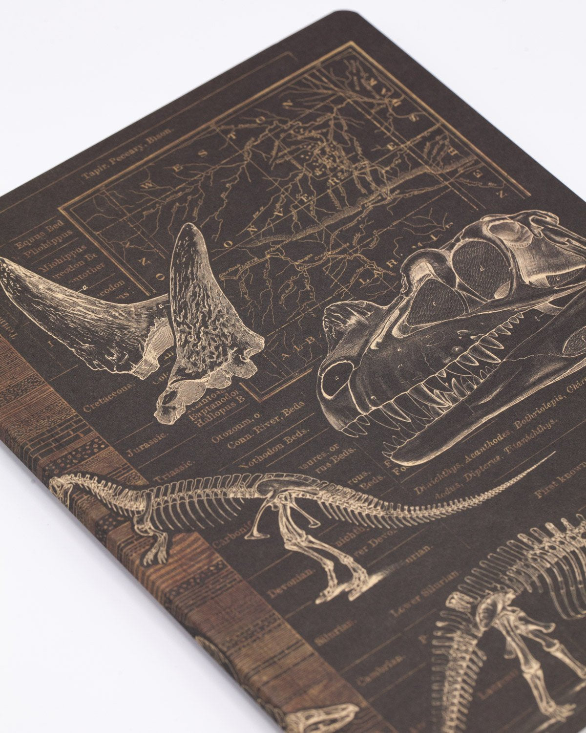 Dinosaur Softcover - Dot Grid - Cognitive Surplus