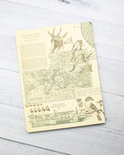 Evolution Softcover - Lined - Cognitive Surplus