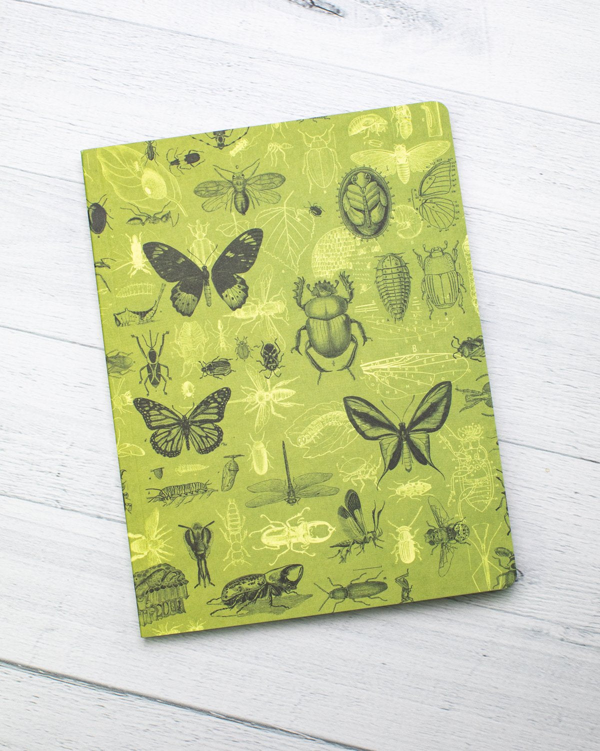 Insects Butterflies & Beetles Softcover Notebook - Lined