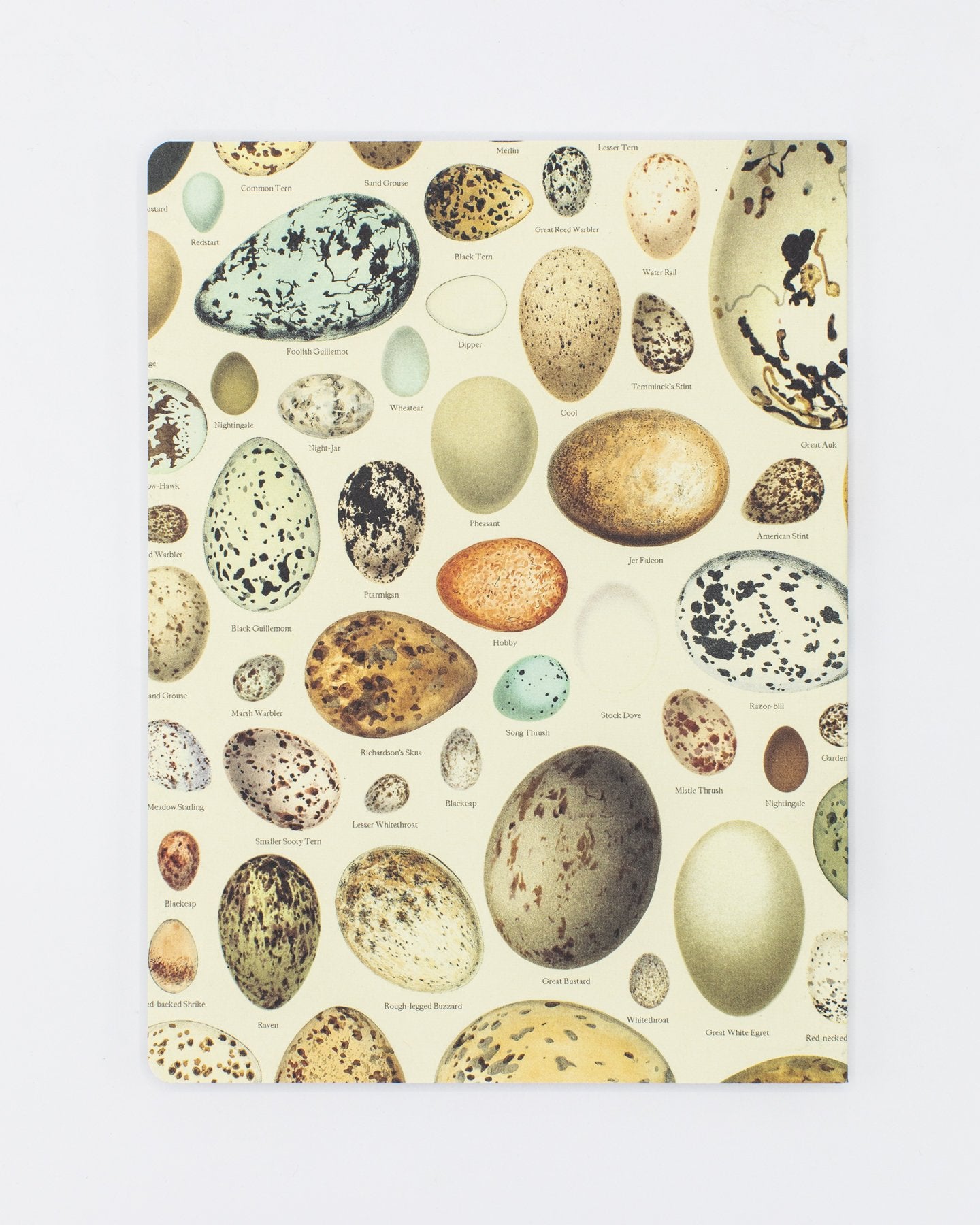Eggs Softcover Notebook - Lined