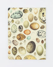 Eggs Softcover Notebook - Lined
