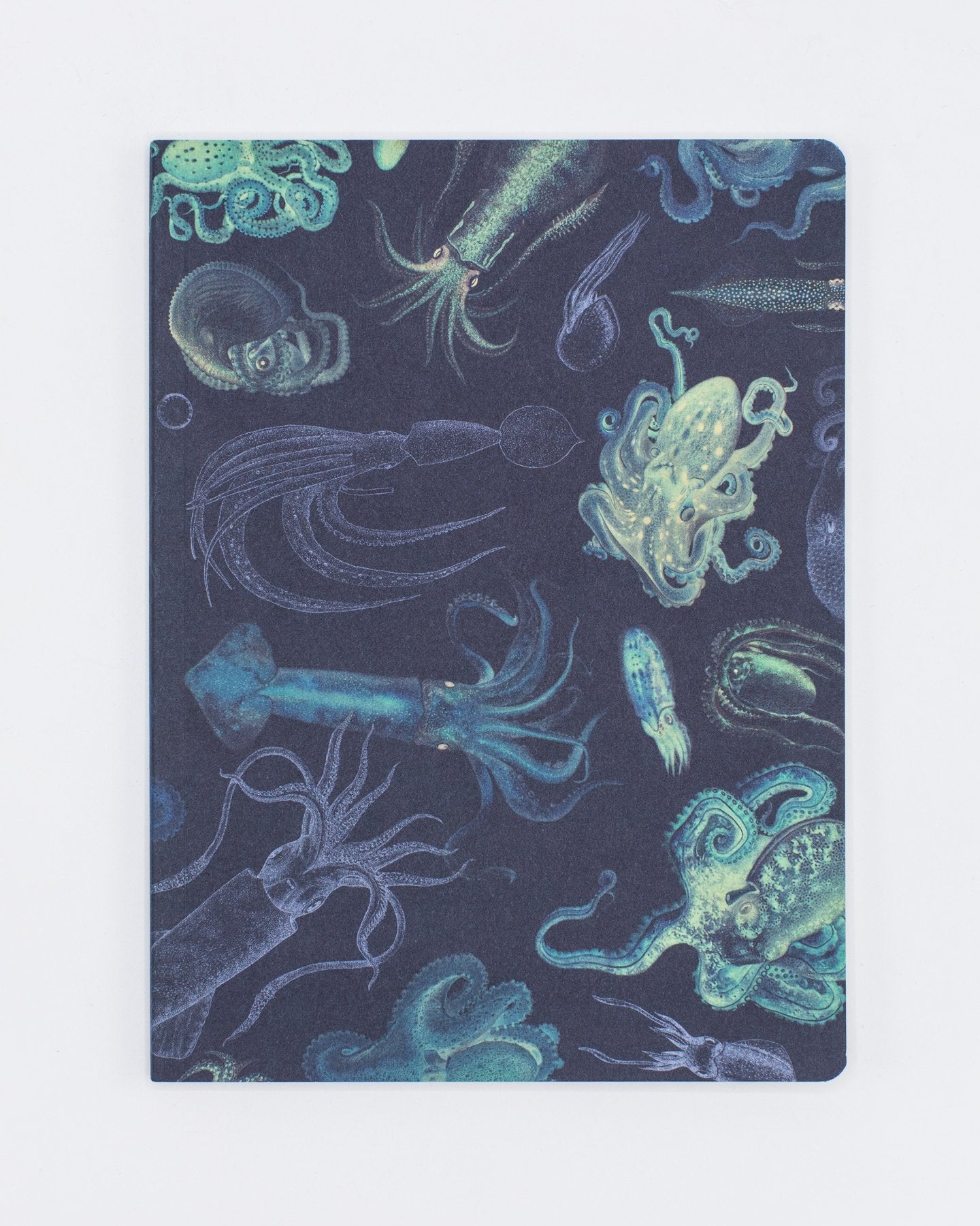 Cephalopods: Octopus & Squid Softcover Notebook - Lined