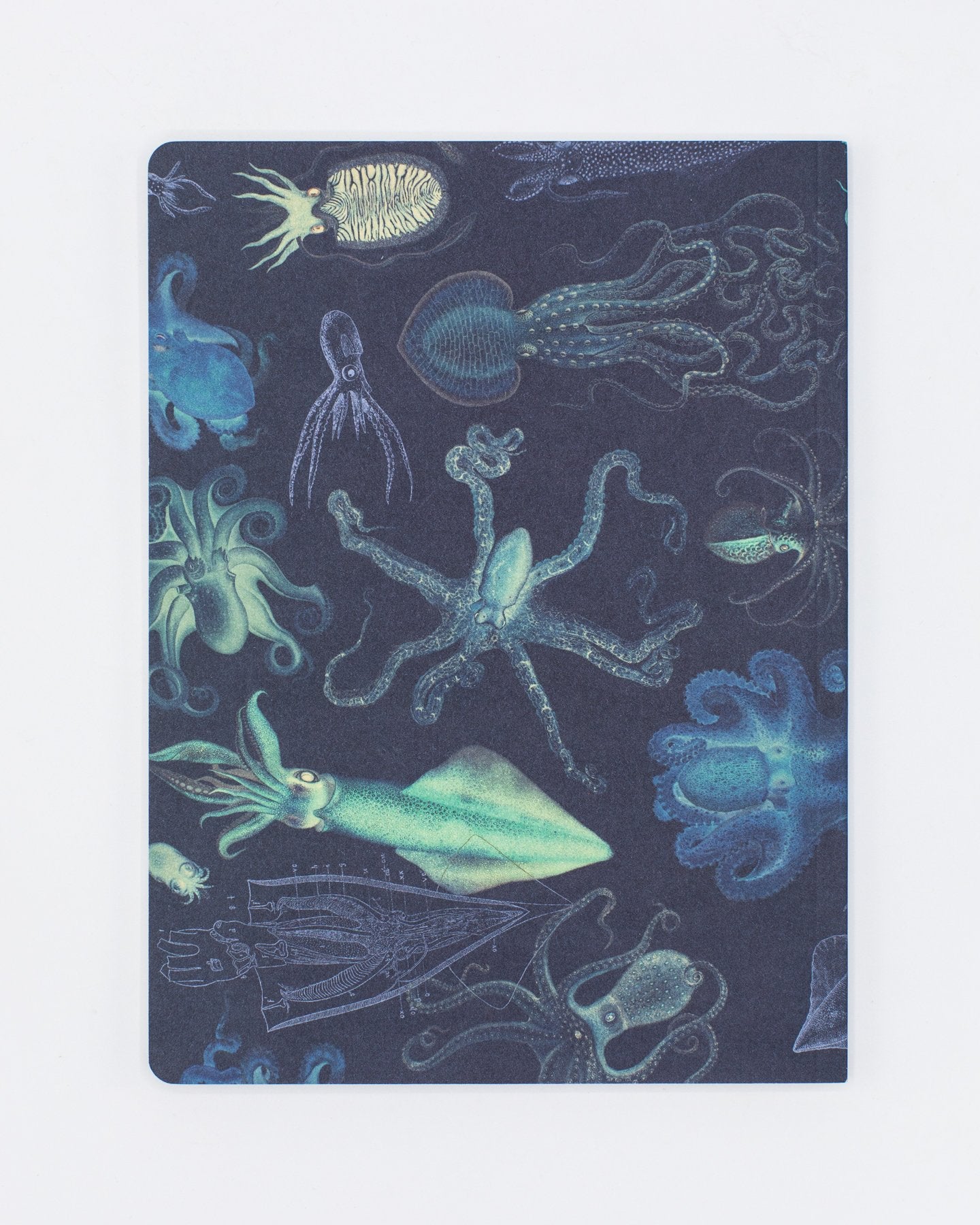 Cephalopods: Octopus & Squid Softcover Notebook - Lined