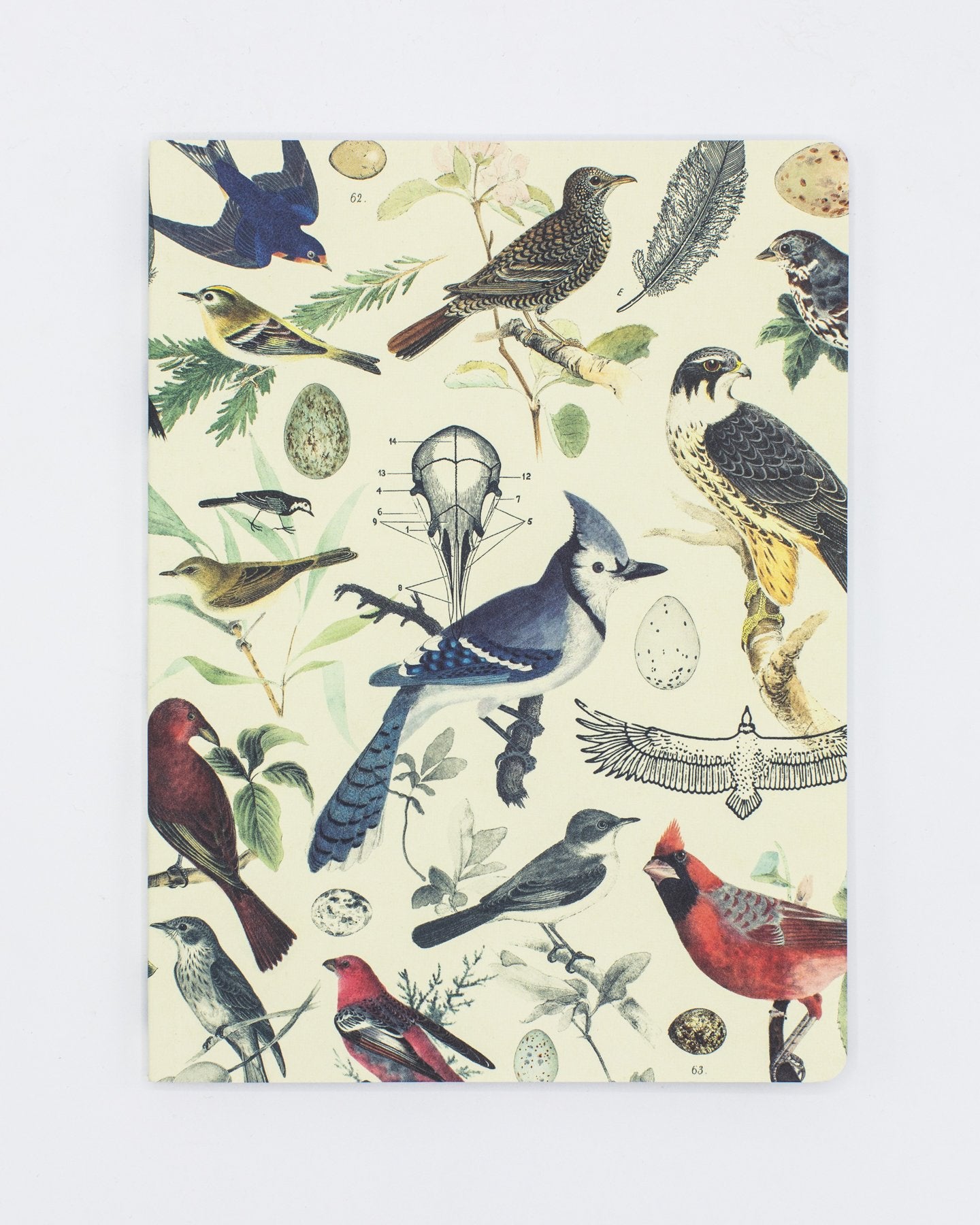 Ornithology: Birds Softcover Notebook - Dot Grid