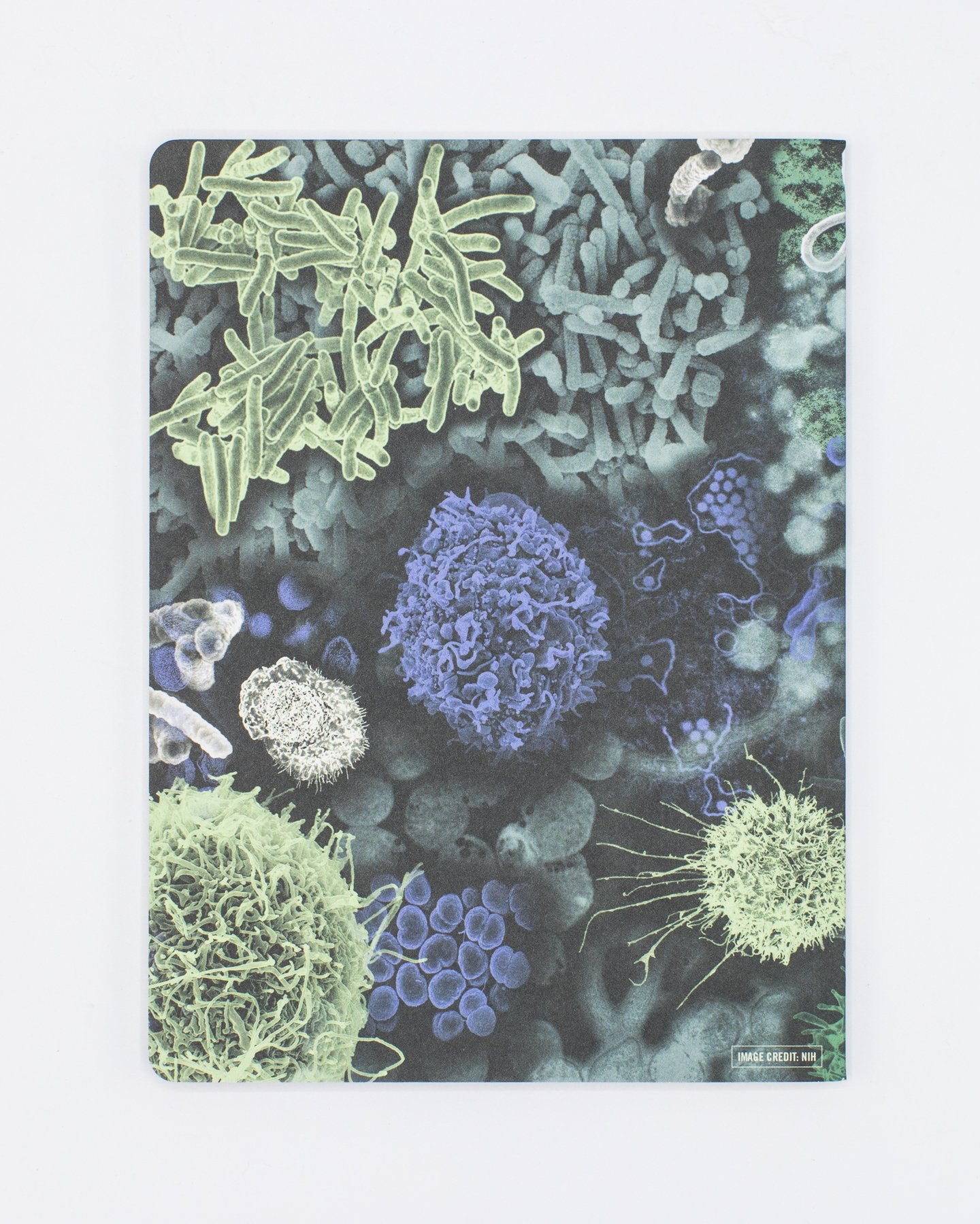 Infectious Disease Softcover Notebook - Lined