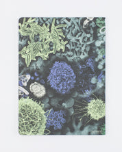 Infectious Disease Softcover Notebook - Lined