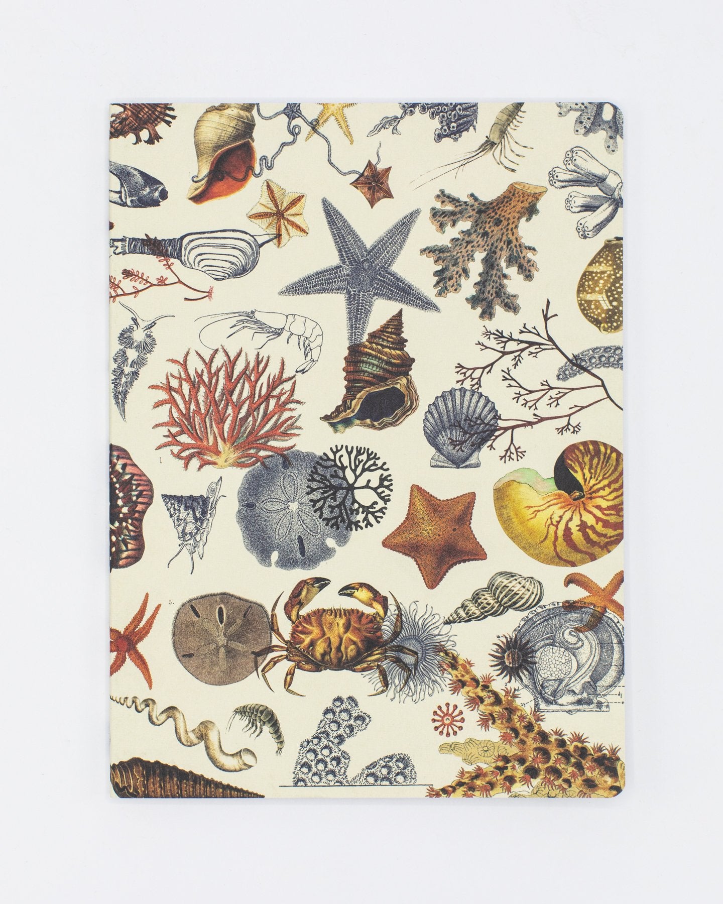 Shallow Seas Plate 2 Softcover Notebook - Lined