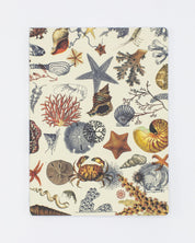Shallow Seas Plate 2 Softcover Notebook - Lined