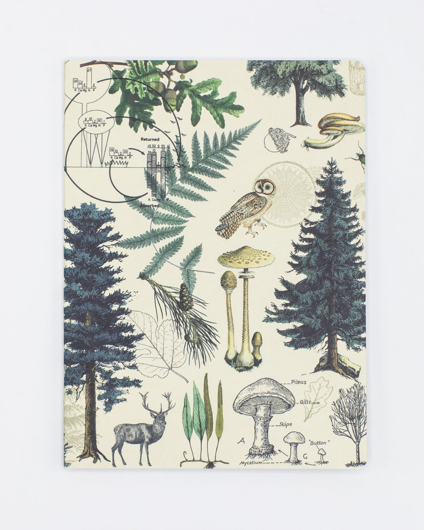 Woodland Forest Softcover Notebook - Lined