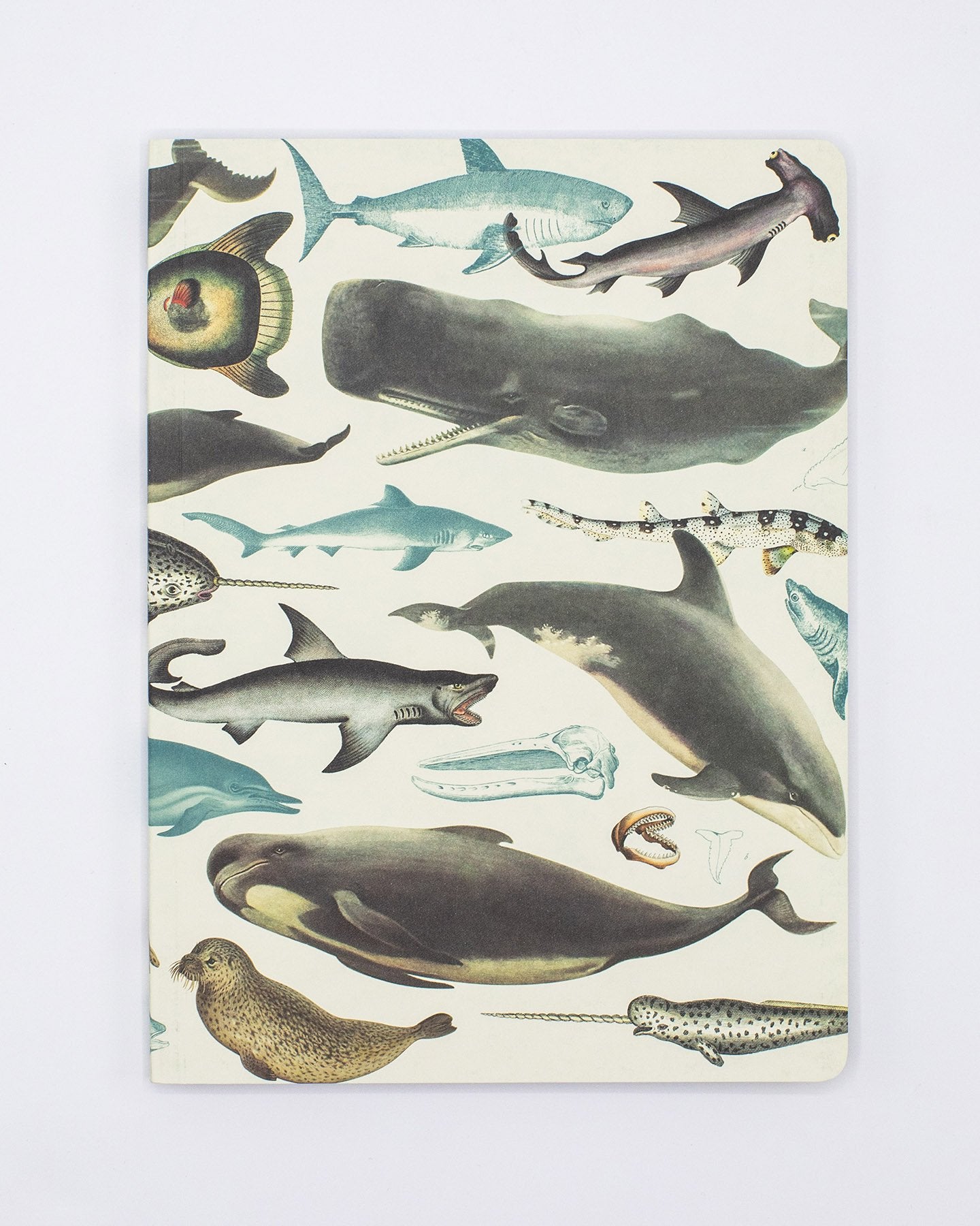 Whales & Seals Softcover Notebook - Lined