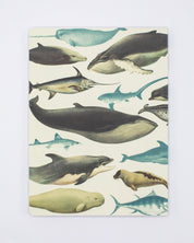 Whales & Seals Softcover Notebook - Lined