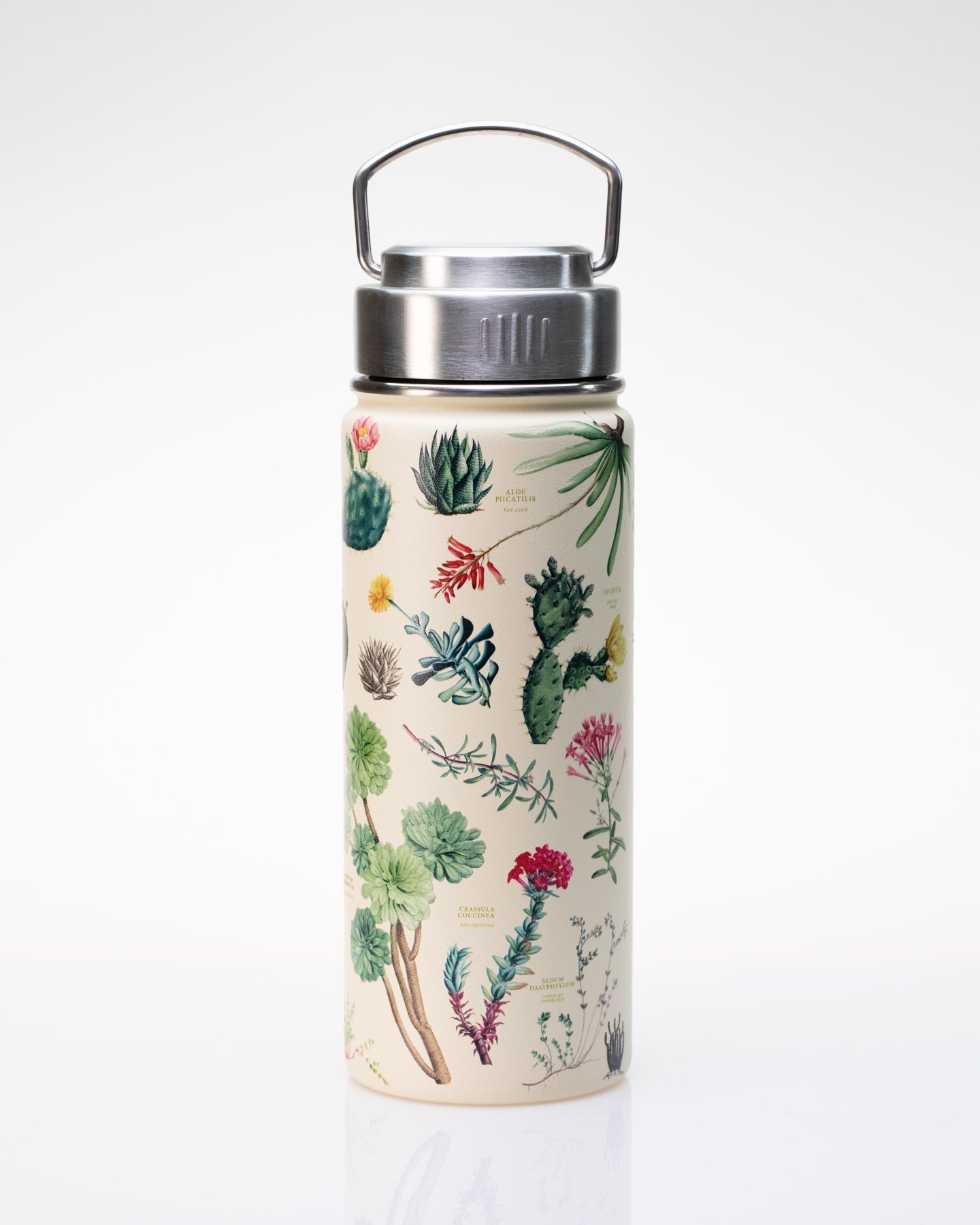 Succulents 500 mL Steel Bottle