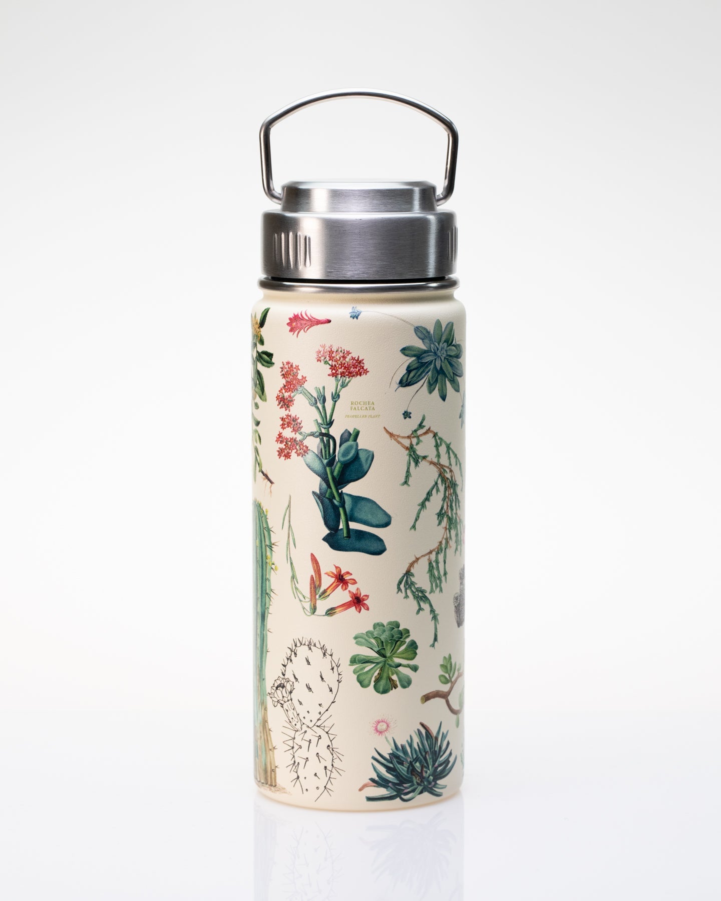 Succulents 500 mL Steel Bottle