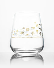 Geologic Time Scale Wine Glass