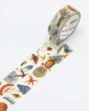 Sea Shore Washi Tape - Cognitive Surplus
