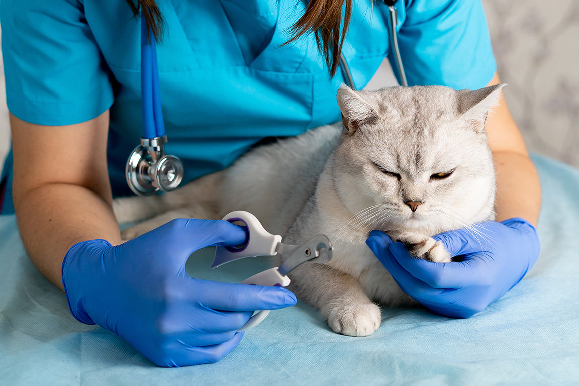 Veterinary Science