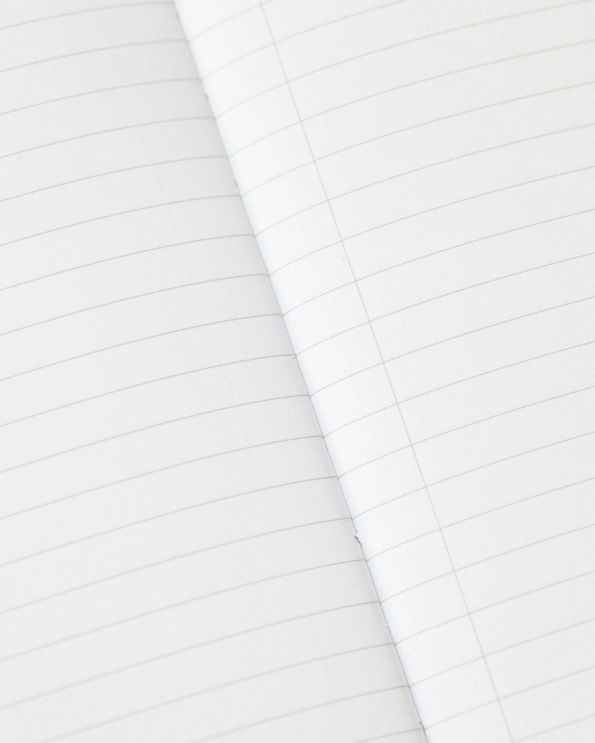Insekten Schmetterlinge & Käfer Softcover - Gefüttert