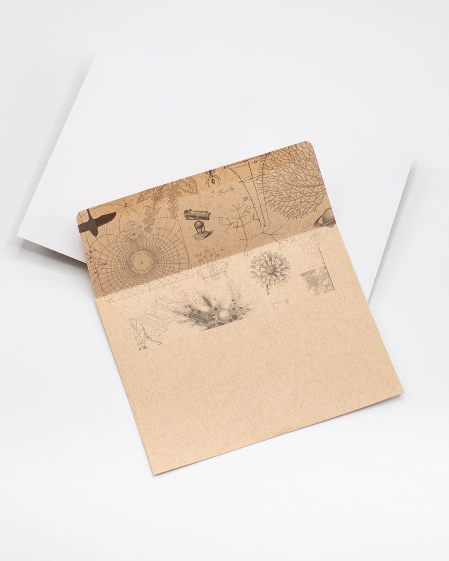 Gc_Envelope_af49e229-0221-4eed-b48f-c5741899f5ad.jpg