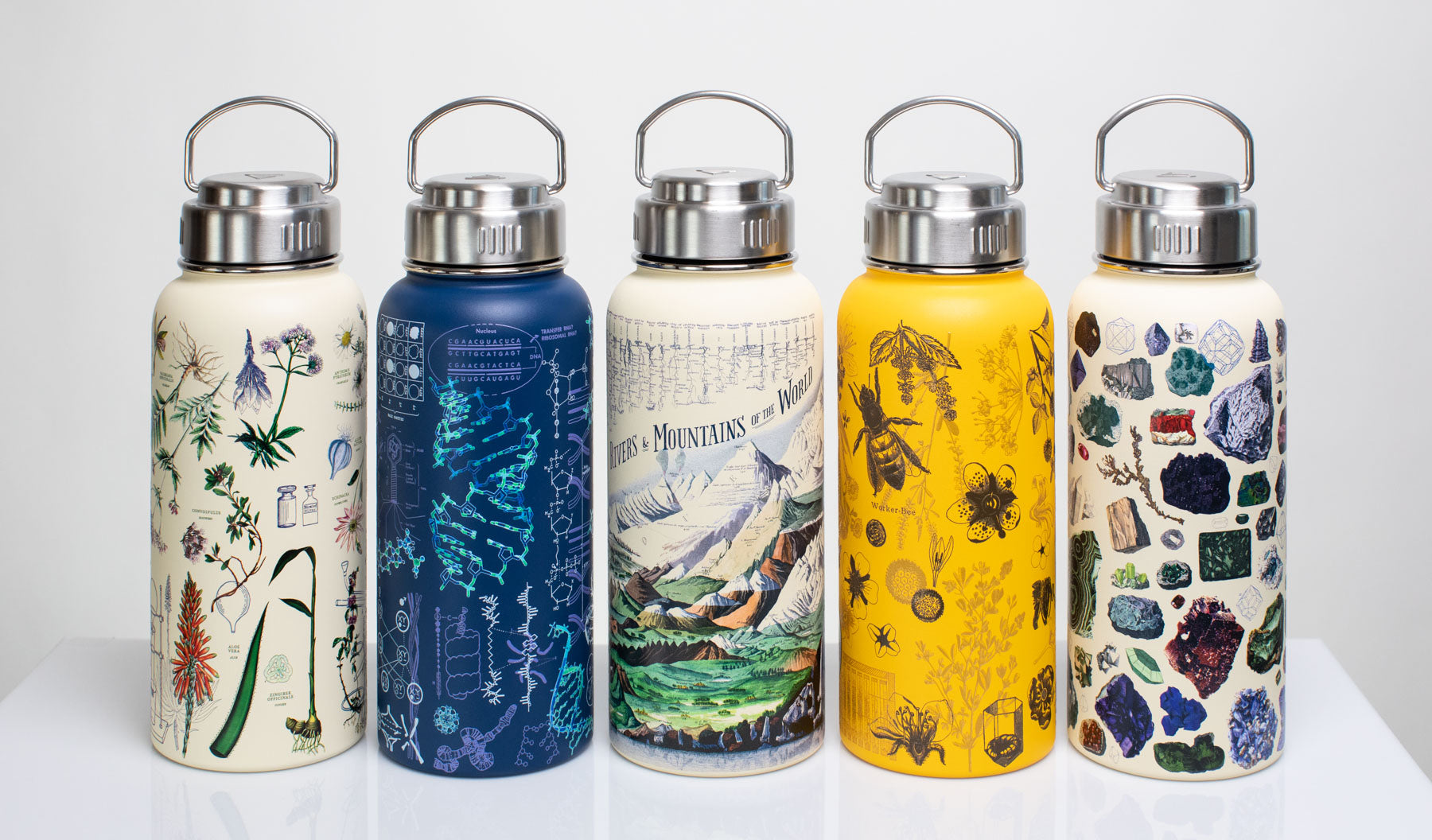 Honey Bee 32 oz Stainless Steel Bottle by Cognitive Surplus