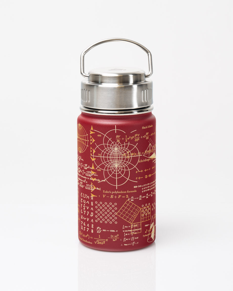 Equations That Changed the World 350 mL Steel Bottle