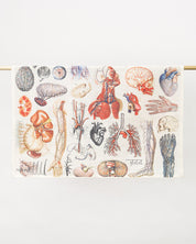Anatomy Tea Towel