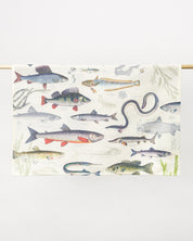 Freshwater Fish Tea Towel
