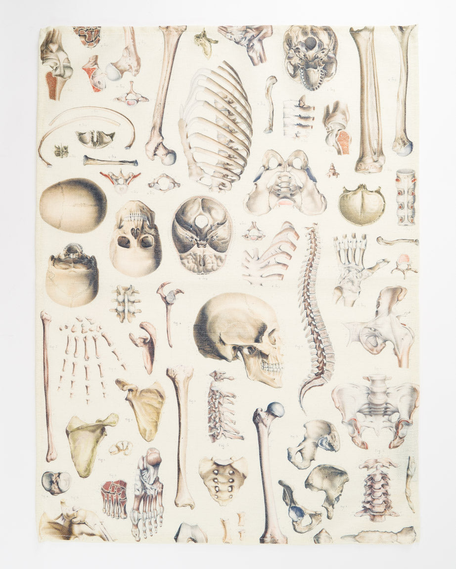 Skeleton Tea Towel