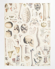 Skeleton Tea Towel