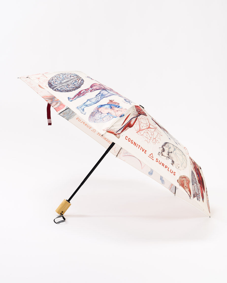Anatomy Umbrella