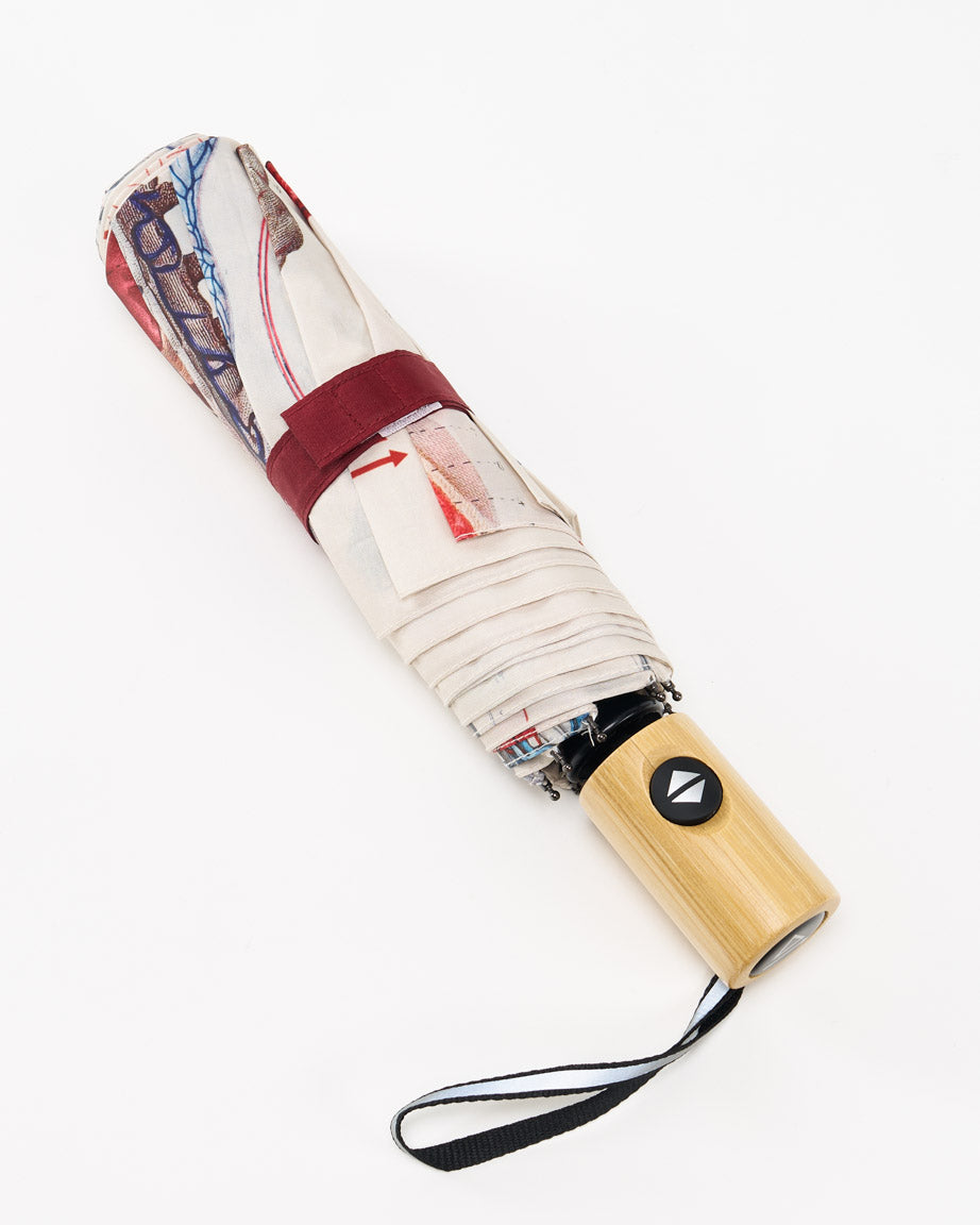 Anatomy Umbrella