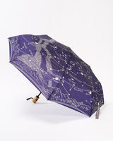 Astronomy Umbrella