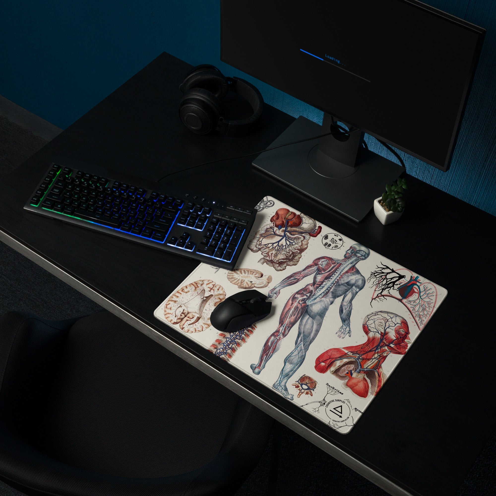 Anatomy Gaming Mouse Pad