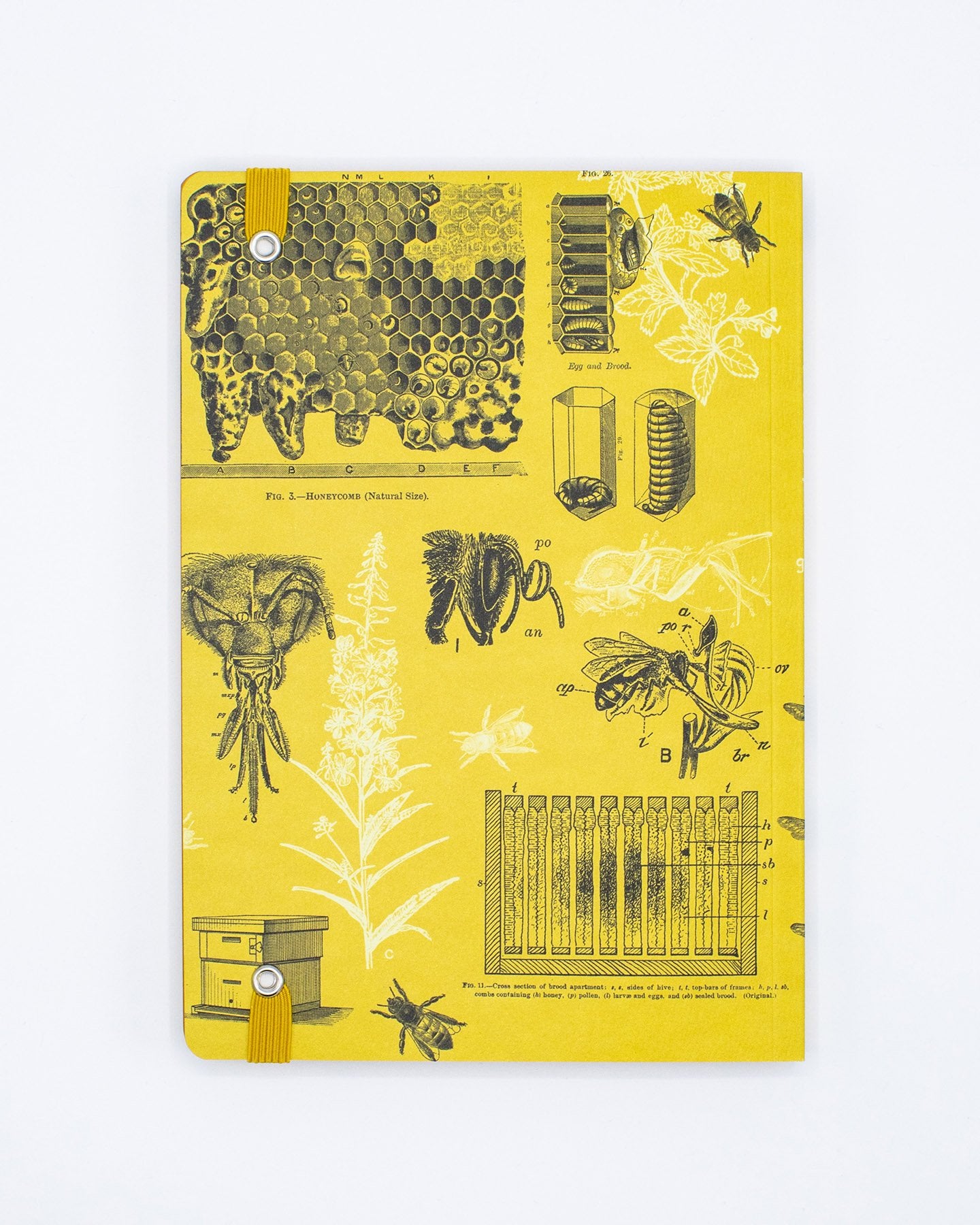 Honey Bee A5 Softcover