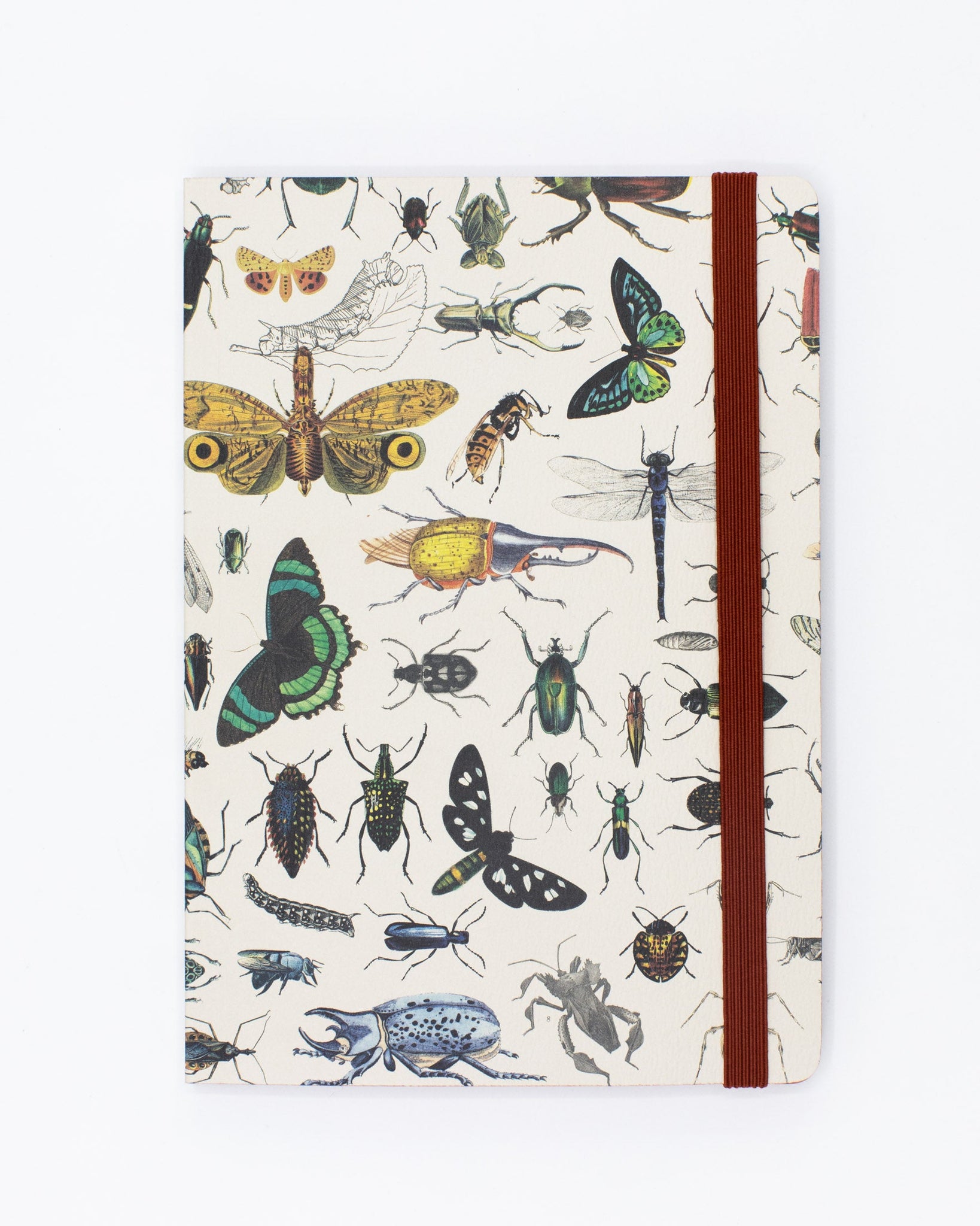 Butterflies & Beetles A5 Softcover