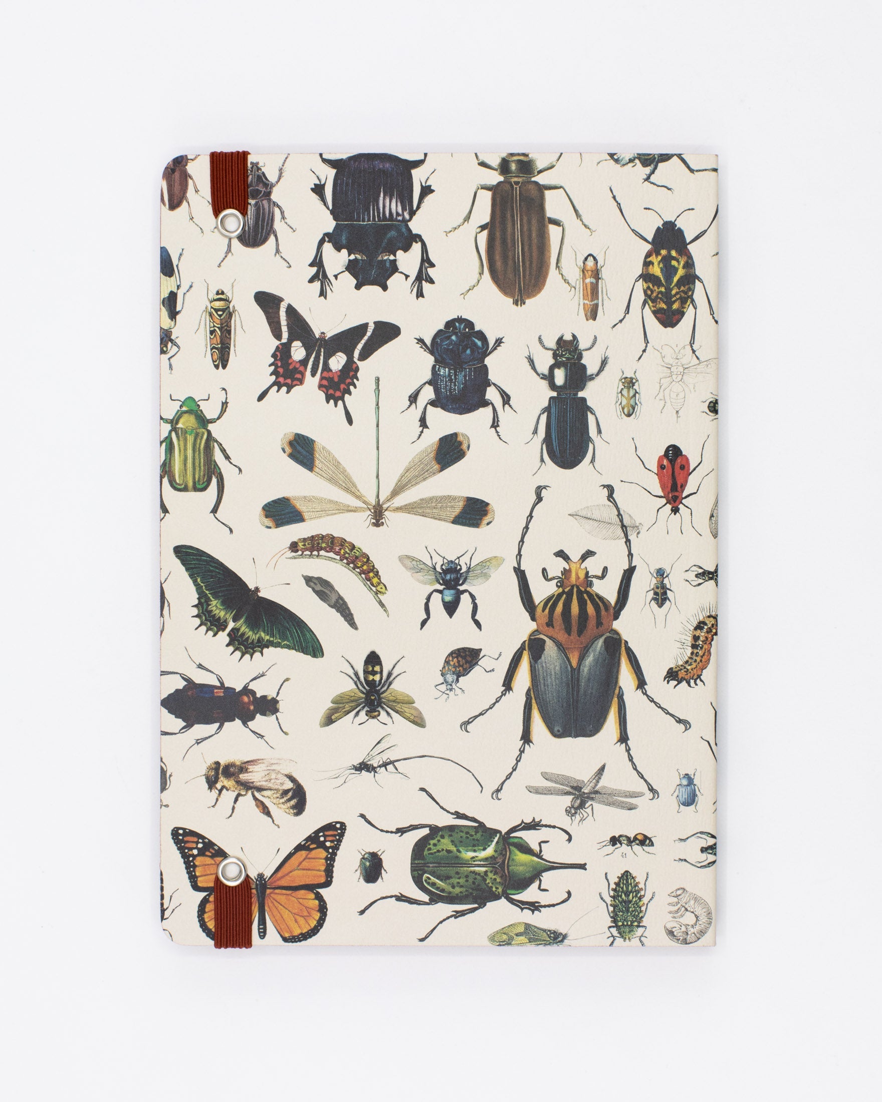 Butterflies & Beetles A5 Softcover