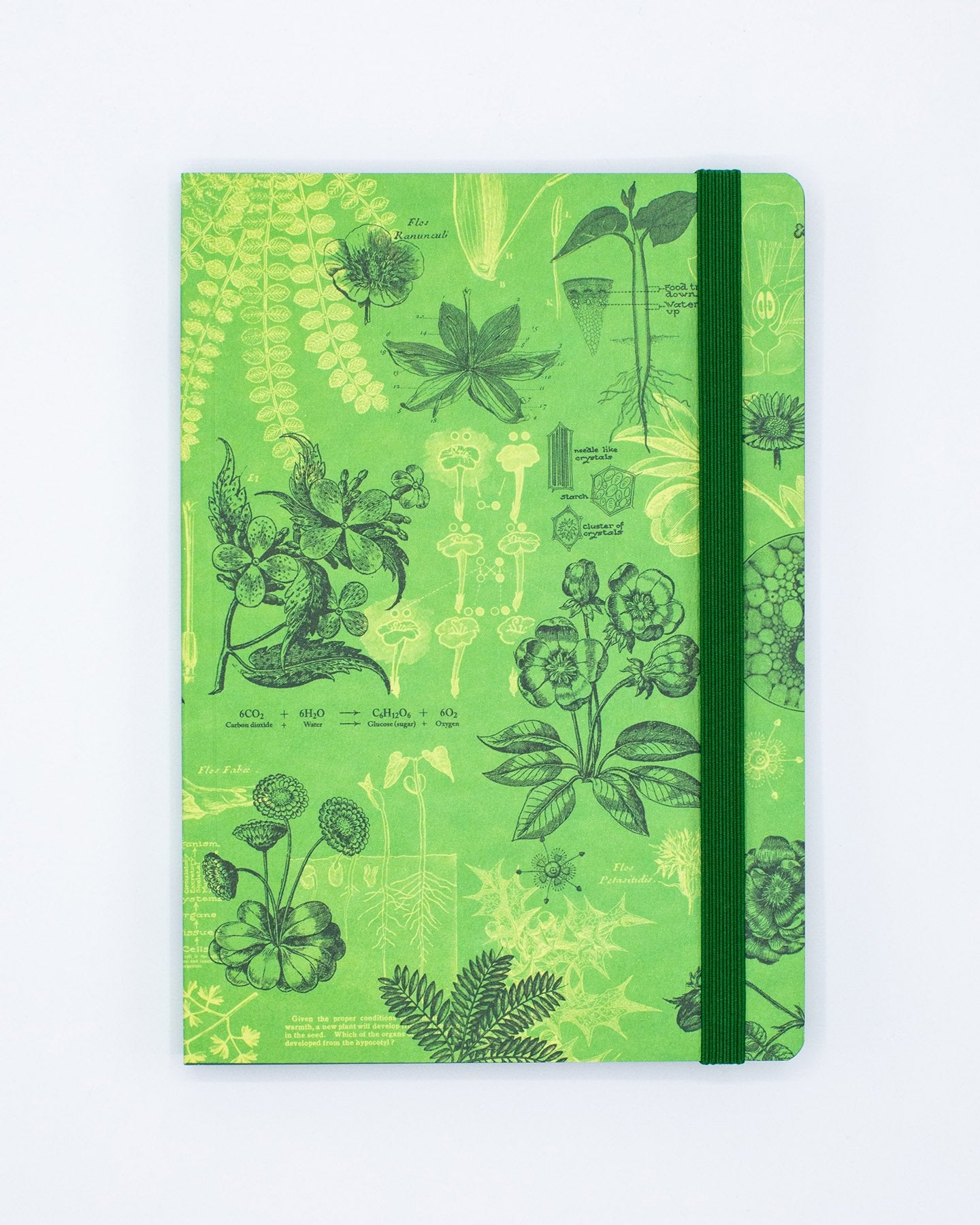 Botanische Träumerei A5 Softcover