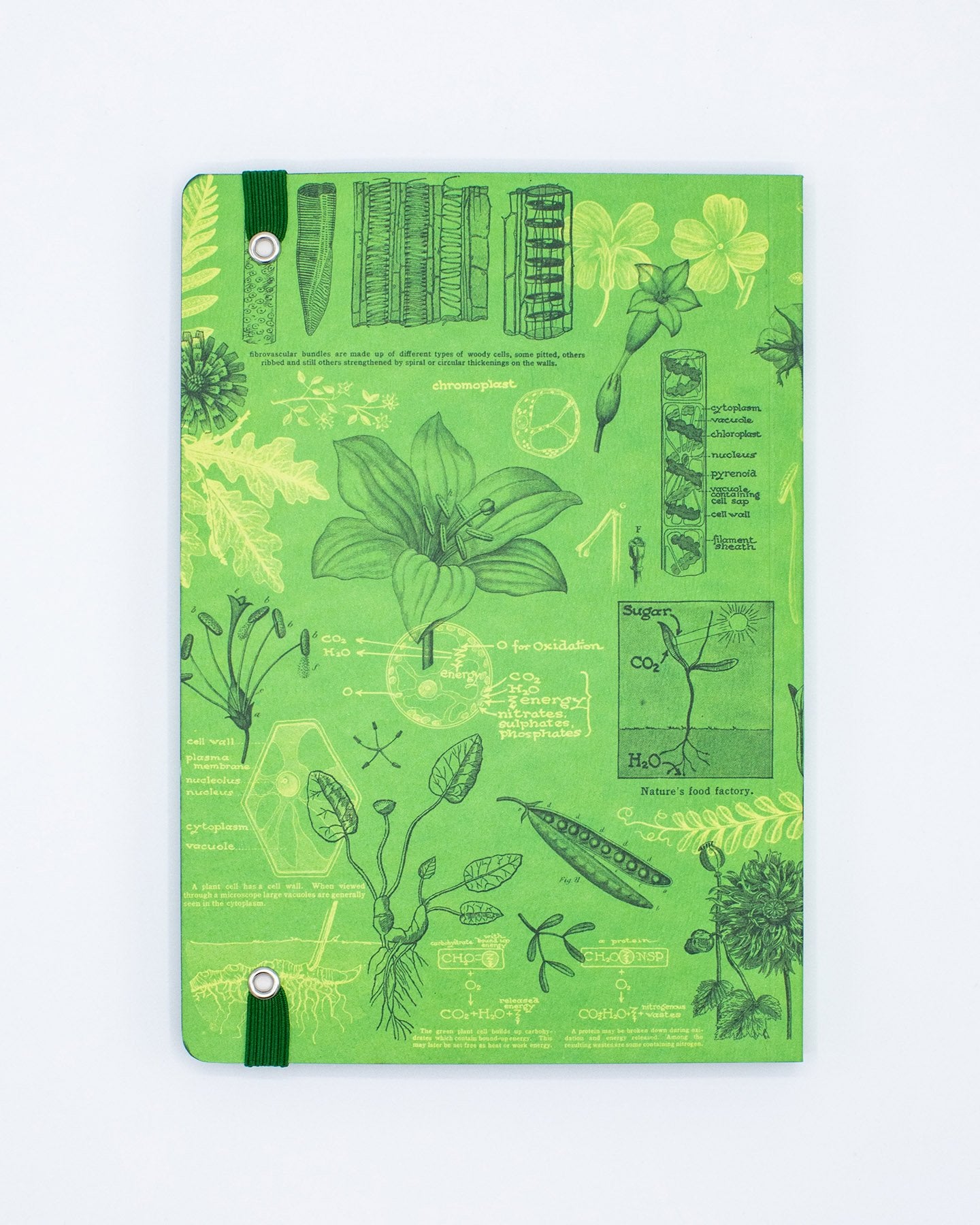 Botanische Träumerei A5 Softcover