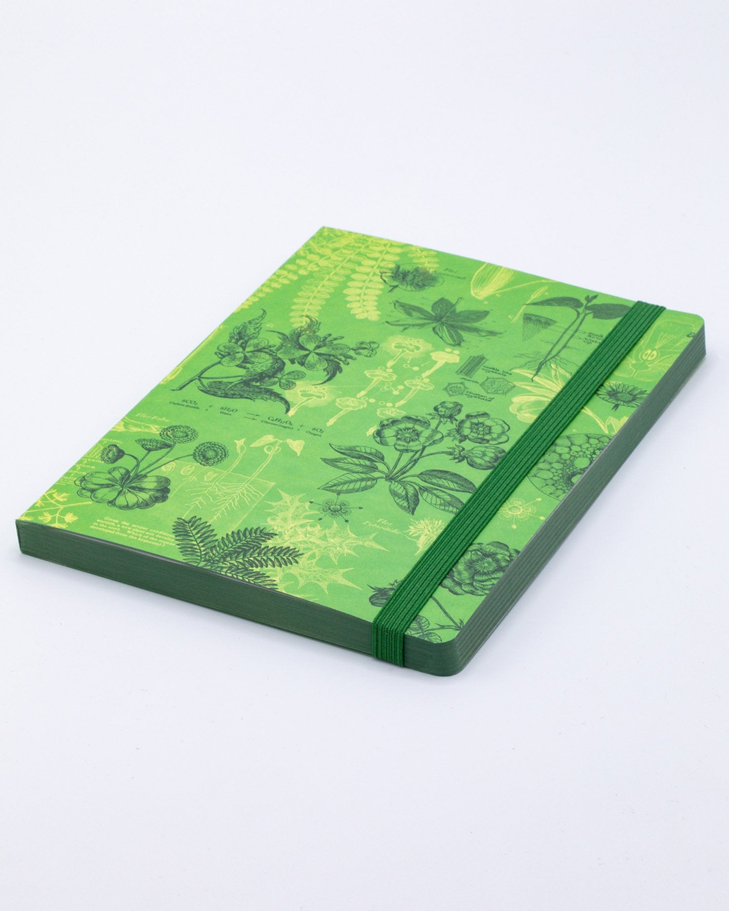 Botanische Träumerei A5 Softcover