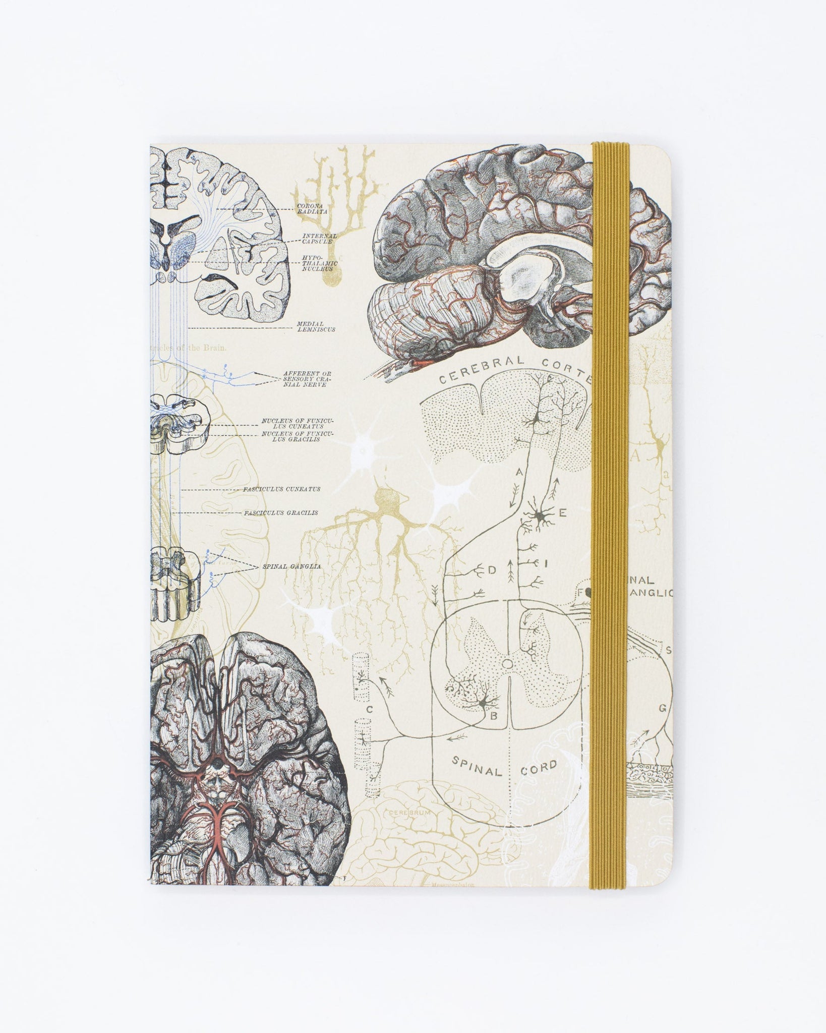 Brain A5 Softcover