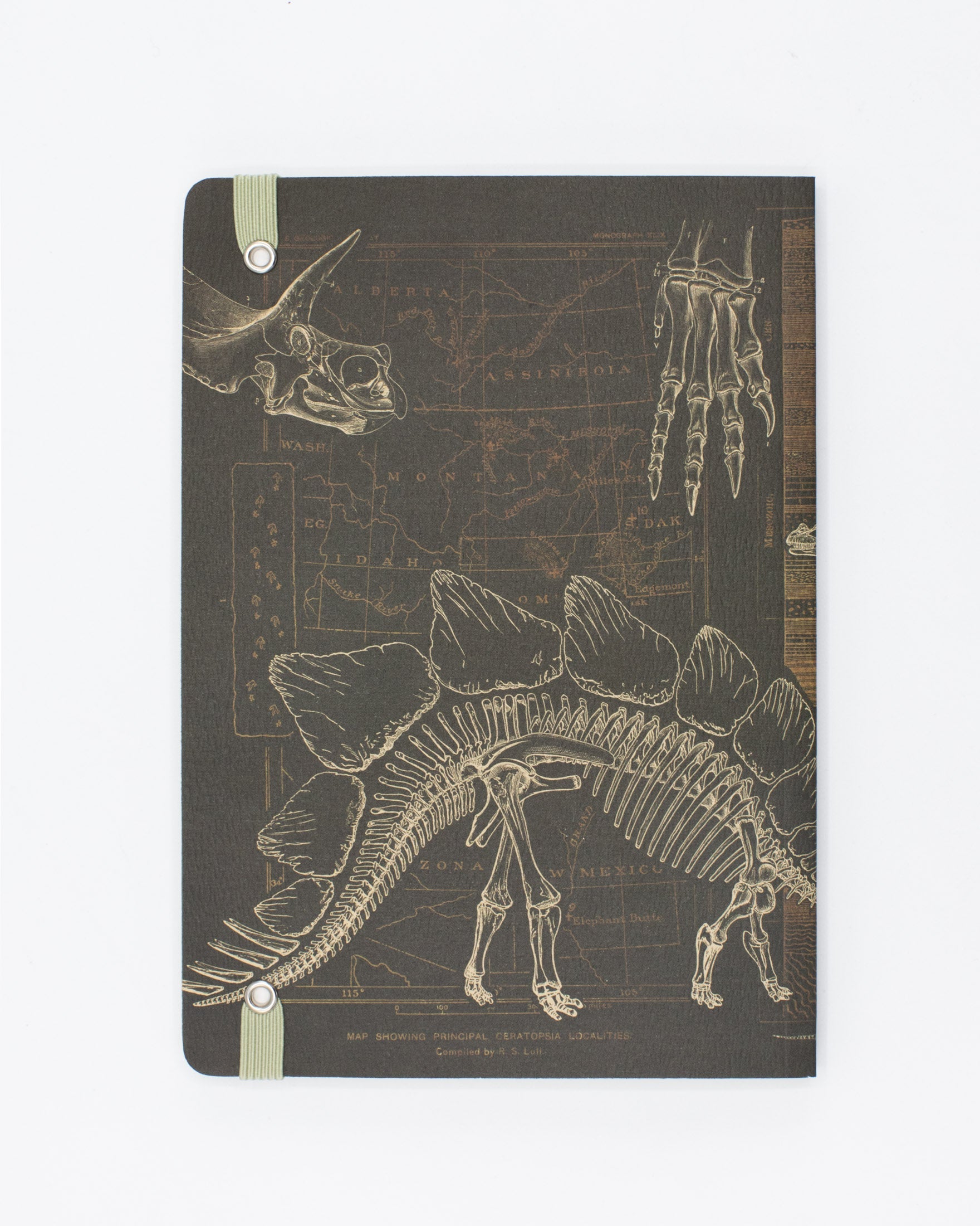 Dinosaur Bones A5 Softcover