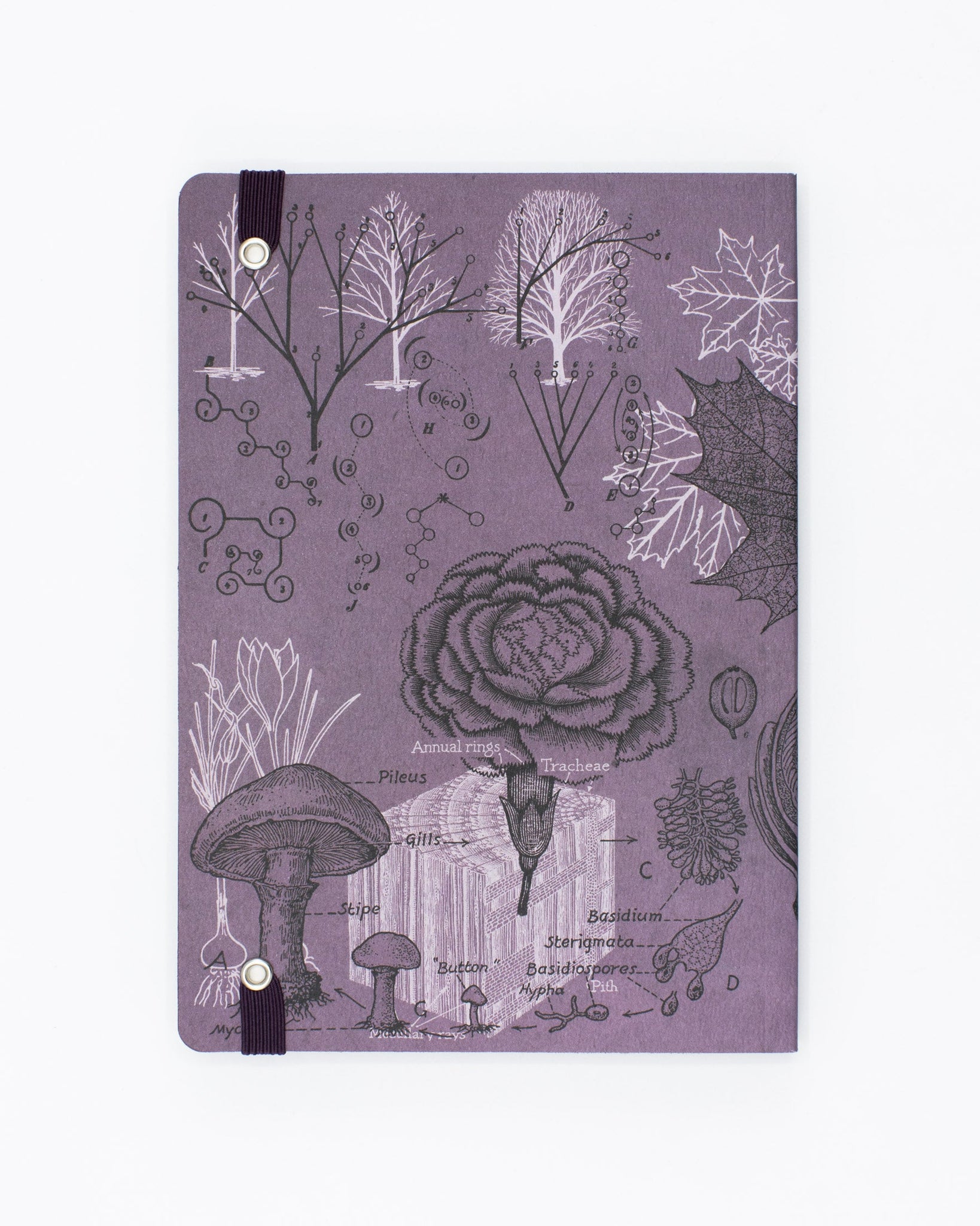 Forest at Dusk A5 Softcover