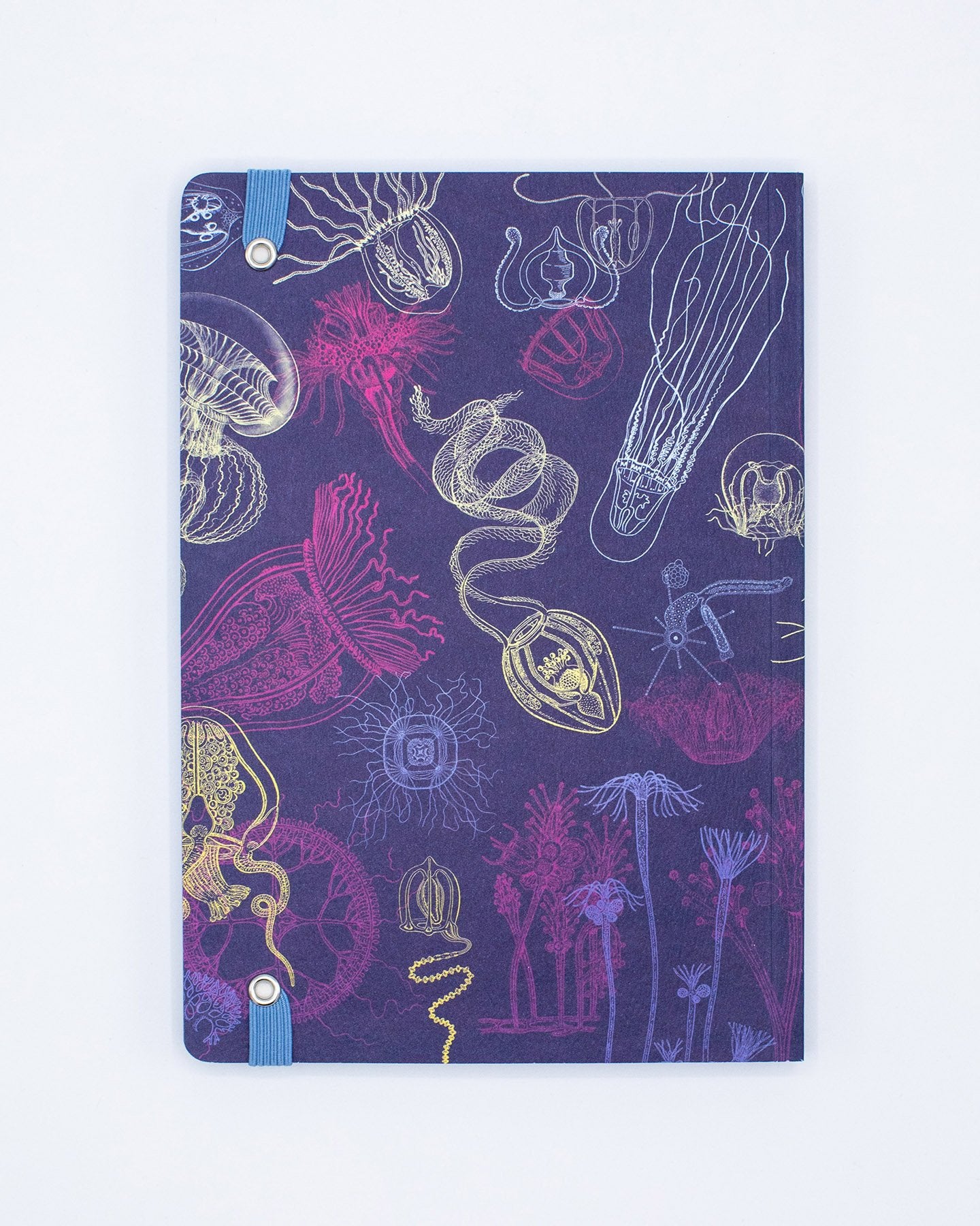 Go With the Flow Jellyfish A5 Softcover