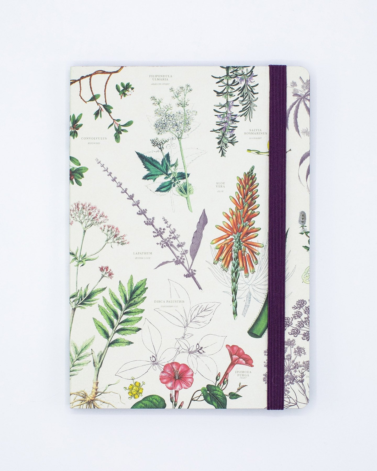 Medicinal Botany A5 Softcover