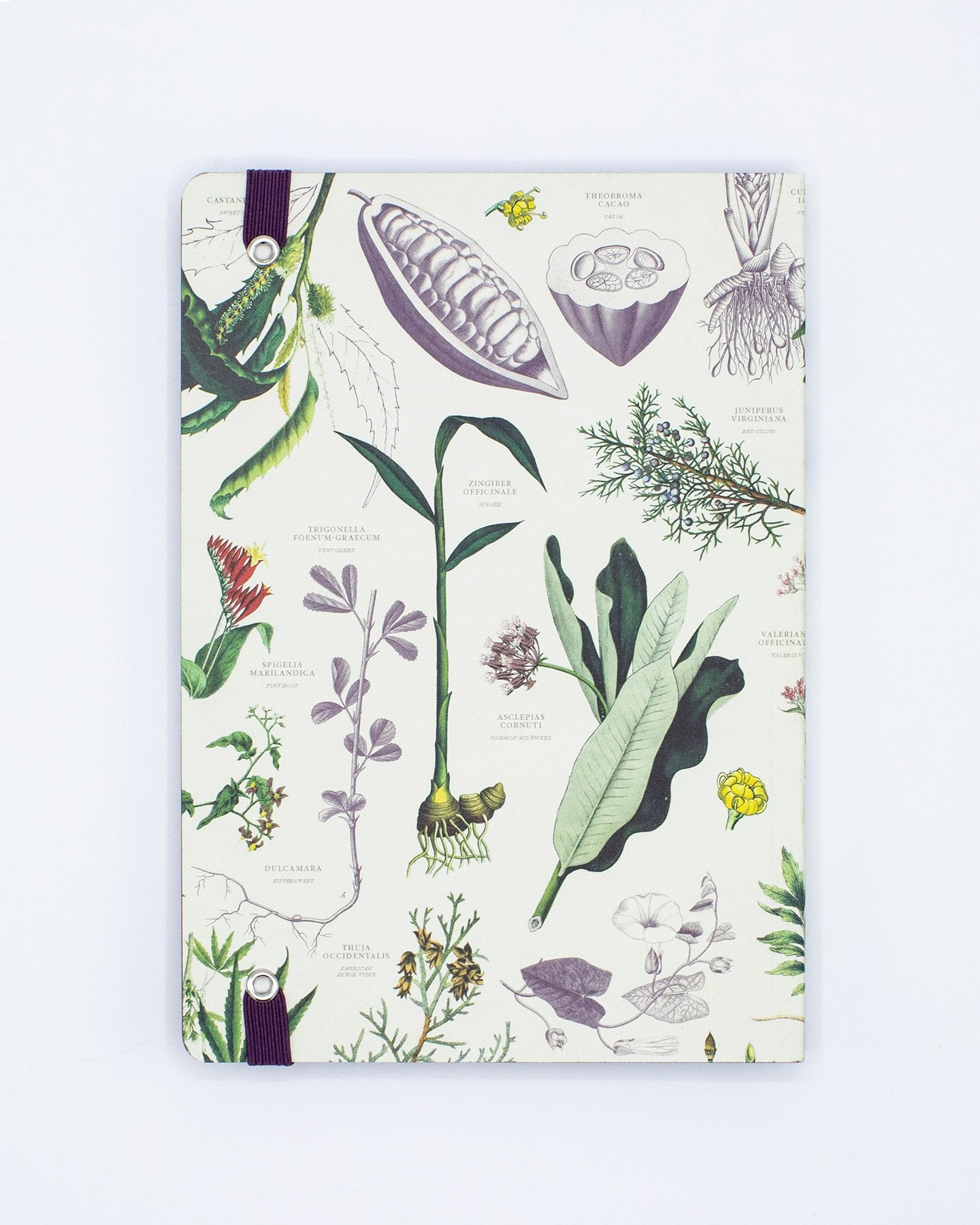 Medicinal Botany A5 Softcover